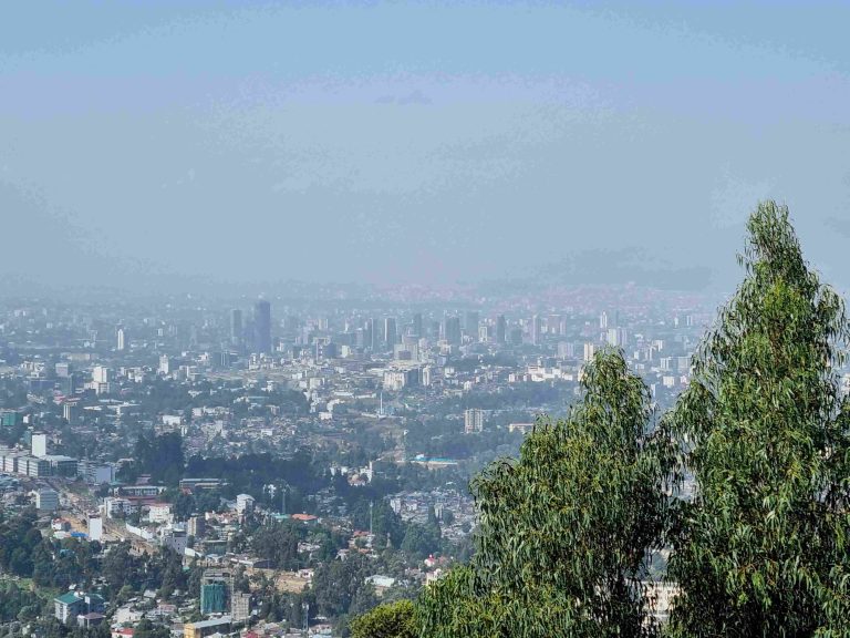view of distant city in haze behind trees illustrate news on Ethiopian Securities Exchange.