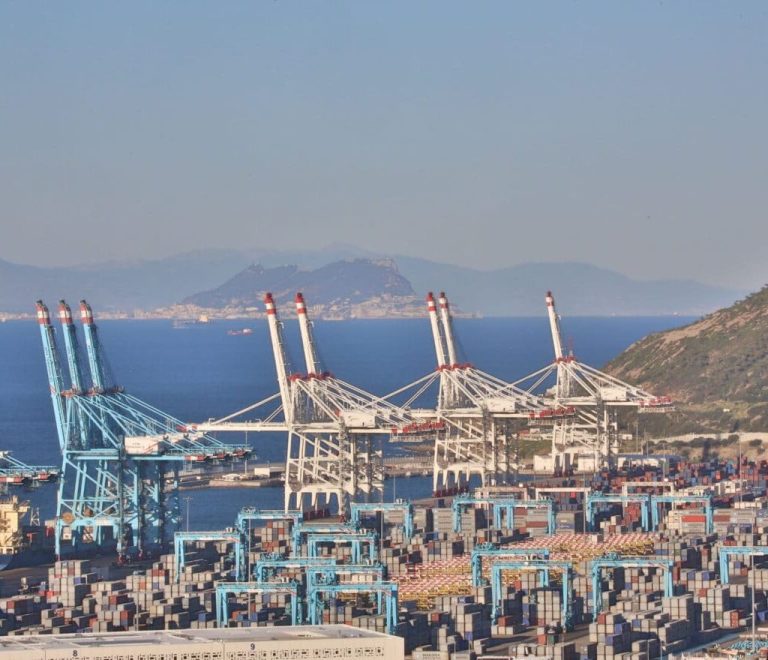 Giant cranes dwarf containers on a giant project